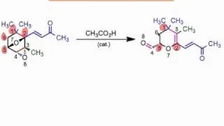 Mechanistic Strategies: Before the First Curved Arrow