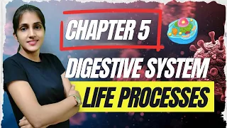 CLASS-10 CHAPTER -5 LIFE PROCESSES (DIGESTIVE SYSTEM)