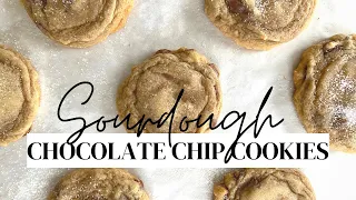 Turning my cookies into sourdough cookies! Sourdough chocolate chip cookie recipe!