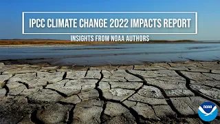 IPCC Climate Change 2022 Impacts Report: Insights from NOAA Authors