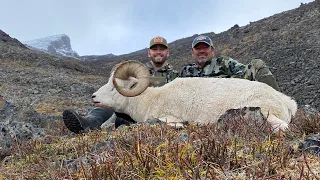 Alaska Dall Sheep Hunt 2020