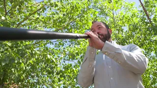 #PlayOn: Amazing Grace | Colorado Symphony Alphorns at the Denver Botanic Gardens