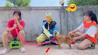 Must Watch New Funny Video 2021 🤣 😂 Top New Comedy Video - Try Not To Laugh | Episode 149