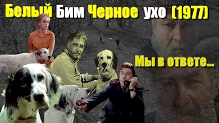 Кино "БЕЛЫЙ БИМ ЧЕРНОЕ УХО" ОБЗОР фильма с Вячеславом Тихоновым. "Белый Бим Черное ухо" фильм 1977.