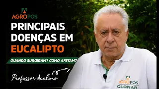 PRINCIPAIS DOENÇAS EM EUCALIPTO