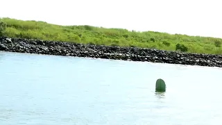 Tanker Surfing Houston Ship Channel