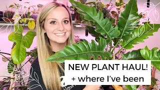 I'm Back! New Plant Haul! Hoyas, Philodendrons, and more!