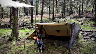 SOLO BUSHCRAFT HOT TENT CAMPING - Pomoly Stovehut Tent, Overnight with Dog