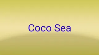 Cocoa Sea Line Dance Demo By Hebring Dance Purwokerto.