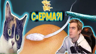 РЕАКЦИЯ БРАТИШКИНА на то как SlivkiShow добыли СПЕРМУ