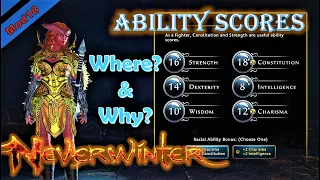 ABILITY SCORES - Where to put Your Points - Neverwinter mod 18