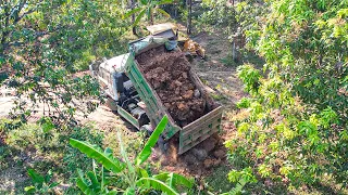 Good action New Project Mini Dozer Pushing Stone Filling up And 5Tone Dump Truck Unloading stone