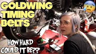 I thought she ruined my Goldwing | GL1500 Timing Belt Change