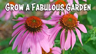 A Fabulous Garden in 5 Easy Steps