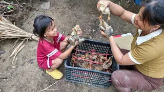 Single mothers work to buy chicks to raise