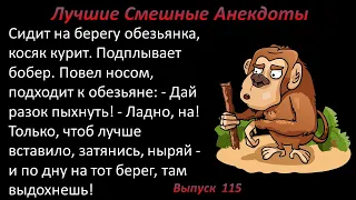 Лучшие смешные анекдоты  Выпуск 115