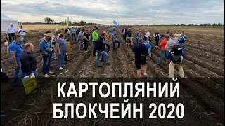 27 серпня відбувся Всеукраїнський День картоплі - «Картополяний блокчейн».