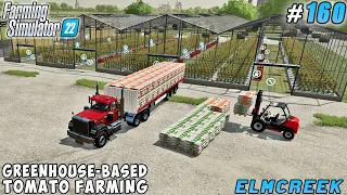 Industrial Tomato Cultivation: Building $1.8 Million Greenhouses | Elmcreek Farm | FS 22 | ep #160