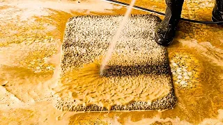 cleaning a dirty shaggy carpet satisfying rug cleaning ASMR