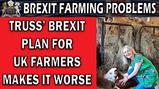 Truss' Brexit Plan for Farming Will Make Things Worse