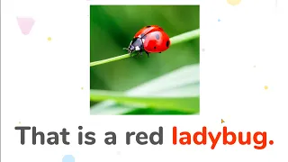 That is a red ladybug | Animal names and sounds | Learn English for Kids - Kids vocabulary