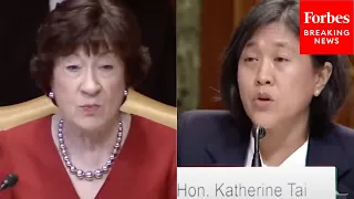 ‘Going To Try For The 3rd Time To Get Answers...’: Susan Collins Grills Trade Rep. Katherine Tai