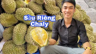 Lần Đầu Tiên Được Cao Thủ Thanh Khui Ăn Thử Sầu Riêng Chaly Cơm Vàng Mỏng Mới Có Tại Vựa Hiếu Nghĩa.