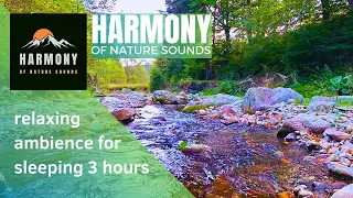 Relaxing Nature Ambience for Sleeping - Birds Chirping and River Sounds Help You Fall Asleep