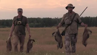 Trailer. Marmot hunting in the steppes of Saratov, Central Russia.