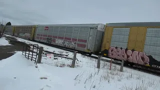 Canadian Pacific southbound autoracks from Alliston at Nashville. March 11/2023.