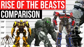 Transformers: Rise of the Beasts | Size Comparison | Optimus Primal, Optimus Prime, Bumblebee