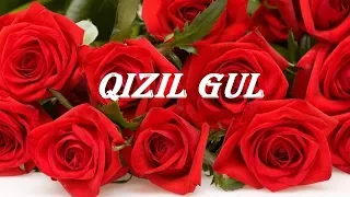 Қизил гүл - Qizil gul - Қызыл гүл - قىزىل گۈل - Красный цветок -  Uyghur Karaoke