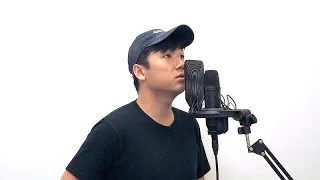 listen before i go - Billie Eilish (Cover by Benjamin Man)