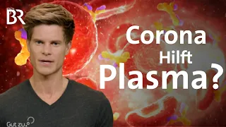 Corona: Ist Blutplasma die Chance auf Heilung? | Coronavirus | BR