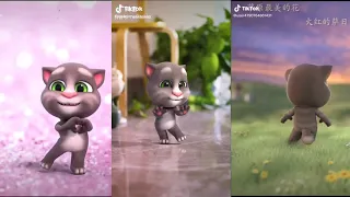 Tổng hợp tik tok cute của mèo tom|Tổng hợp tik tok cute part 2