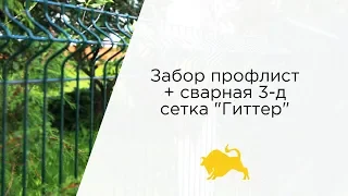 Забор профлист + сварная 3-д сетка "Гиттер"