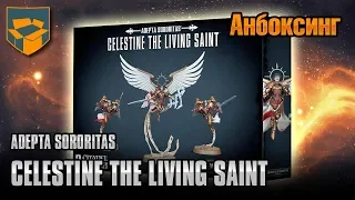 Анбоксинг - Adepta Sororitas - Celestine the Living Saint