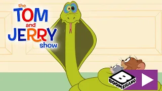 The Tom and Jerry Show | Snake Charmer | Boomerang UK 🇬🇧