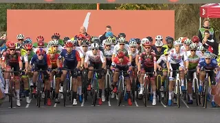 Cyclocross  Maasmechelen  Men Elite  50fps  29 Oct 2023