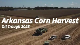 Arkansas Corn Harvest 2023