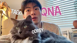 QnA. About Odrey & Me 🐱🙋‍♂️ / reply to Instagram messages