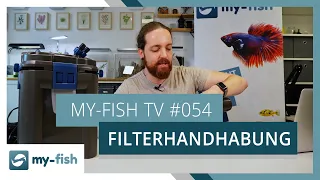 Reinigung & Wartung des Filters im Aquarium | my-fish TV