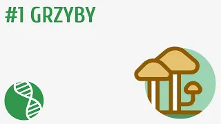 Grzyby #1 [ Grzyby i porosty ]