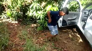 Nossa pisadinha dança ai neymar 😂