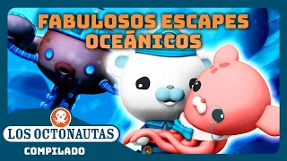 Los Octonautas - 🌊 Fabulosos escapes oceánicos 🛟 | Episodios Completos | Compilado