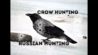 Crow hunting.  Кроухантинг.  Вороны самоубийцы и озадаченный мужик.