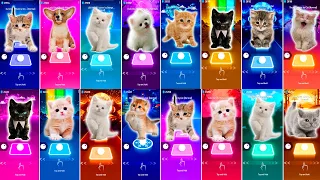 CUTE CAT THUNDER  & JISOO FLOWER & JISOO FLOWER & CUTE DOG MAROON 5 SUGAR & LADY GAGA BLOODY MARY