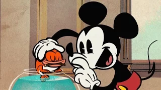 Mickey Mouse | Water! | Disney NL