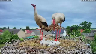 Heute wird gebaut! - 29.05.2024