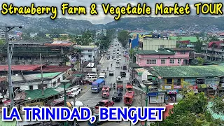 Exploring STRAWBERRY FARM & LA TRINIDAD VEGETABLE TRADING POST in BENGUET PROVINCE,  Philippines